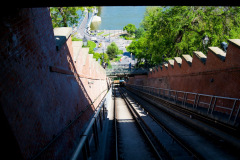 OLO_5784