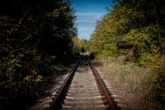 OLO_3305