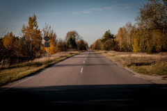 OLO_3461