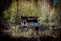 OLO_3843