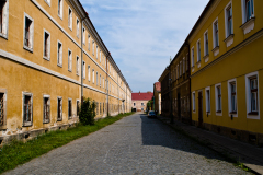 OLO5161