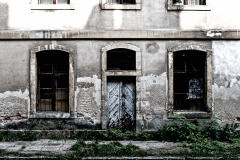 OLO5165-Edit
