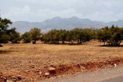 Morocco_2013_116