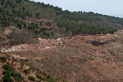 Morocco_2013_149