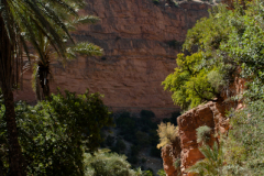 Morocco_2013_310