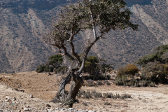 Morocco_2013_319