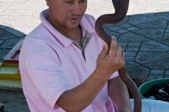 Morocco_2013_343