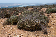 Morocco_2013_40