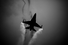 OLO_0048