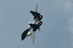 OLO_0100