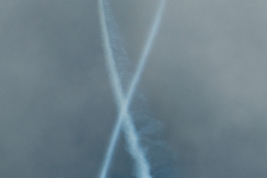 OLO_0231-3