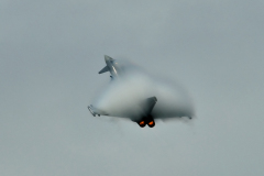 OLO_0244