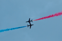OLO_0378