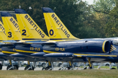OLO_0379