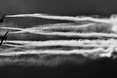 OLO_0693