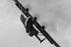 OLO_0709