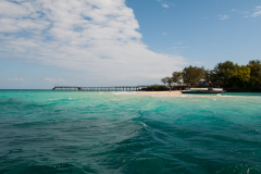Zanzibar