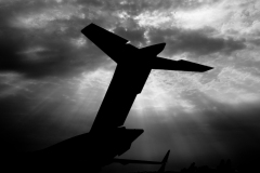 OLO_0020