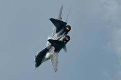 OLO_0100