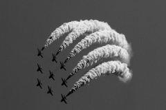OLO_0211