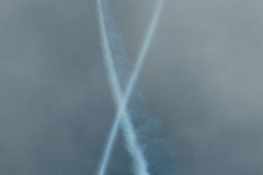 OLO_0231-3
