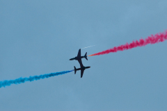 OLO_0378