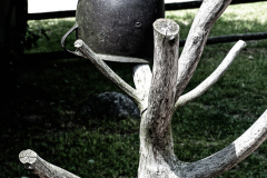OLO7597-Edit